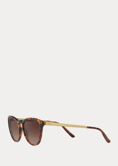 Women's Polo Ralph Lauren Cat-Eye Sunglasses | 231905CJX